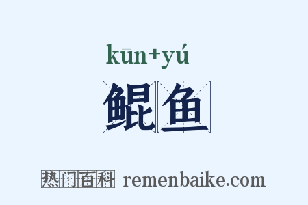鲲鱼是什么意思的图片